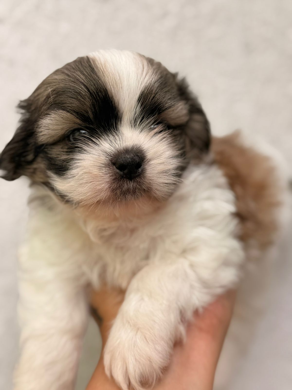 WhatsApp Image 2026-02-26 at 11.54.08 (1)